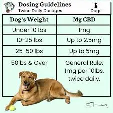 gabapentin for dogs, gabapentin dosage for dogs, gabapentin dosage chart kg, gabapentin for dogs mg per kg, gabapentin for dog pain, gabapentin for dog anxiety, gabapentin for dog seizures